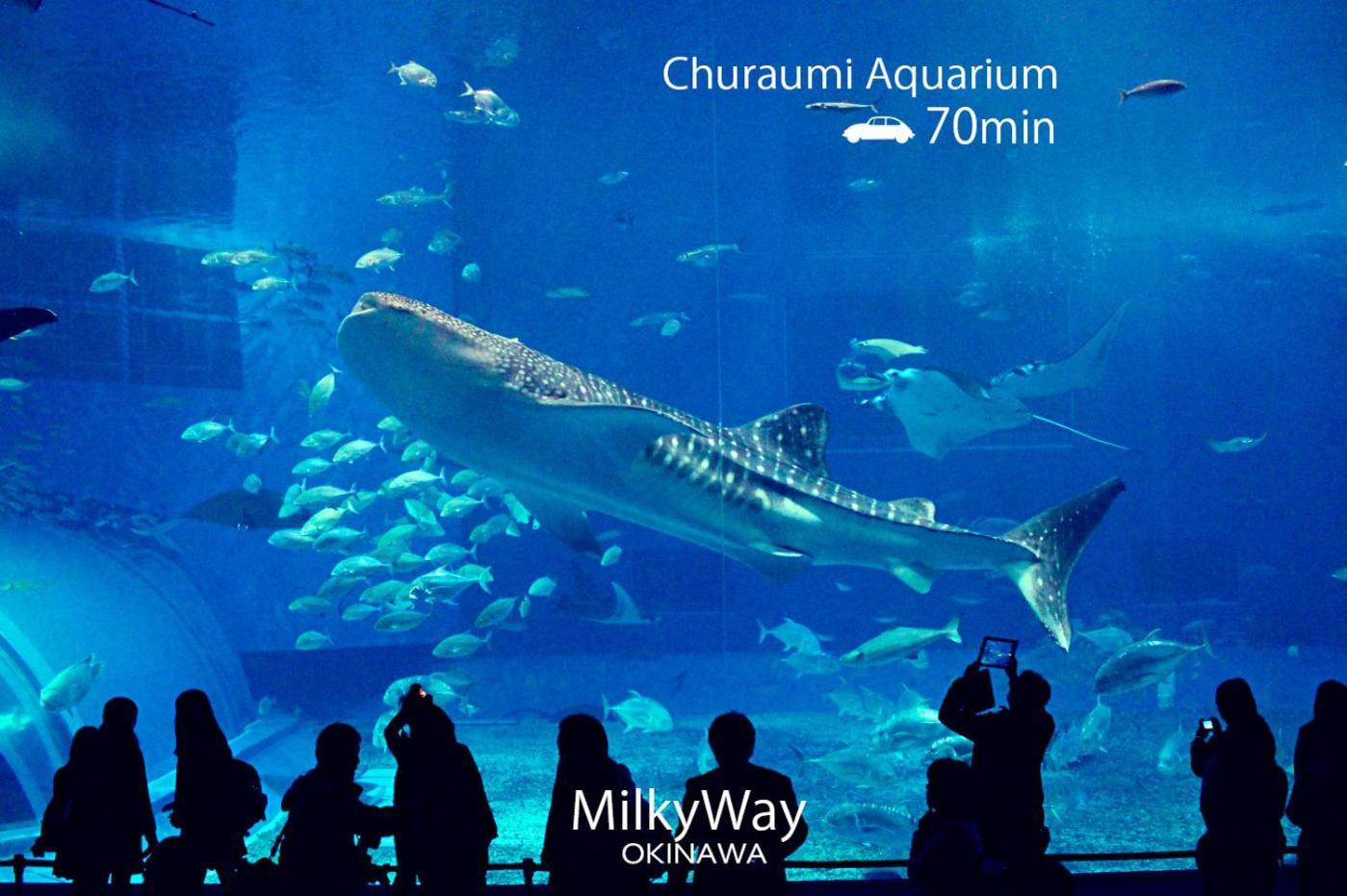 Okinawa Milky Way Villa Yomitan Buitenkant foto